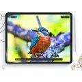Μεμβράνη Προστασίας Οθόνης  Hofi Paper Pro+ (2-Pack) για Apple iPad 10  10.9” / iPad 11  11” 2025 - Matte Clear