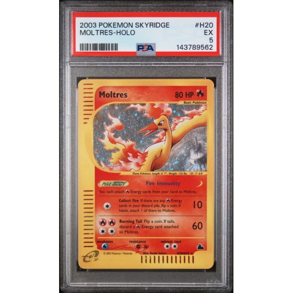 Moltres - Holo - Skyridge - English 2003 - #H20/H32 - PSA EX 5 - Pokemon Graded Card