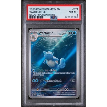 Wartortle - Scarlet & Violet 151 - English 2023 - 171/165 - PSA NM-MT 8 - Pokemon Graded Card