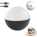 Electronic Crystal Ball, Video Display Ornament (Black)