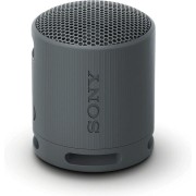 Sony SRS-XB100 Φορητό ασύρματο ηχείο (Μαύρο)