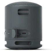 Sony SRS-XB100 Φορητό ασύρματο ηχείο (Μαύρο)