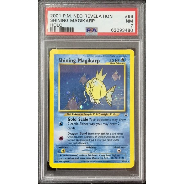 Magikarp-Holo - Neo Revelation - English 2001 - #066/064 - PSA NM 7 - Pokemon Graded Card