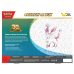Pokémon TCG : 30th Celebration Anniversary - Sylveon ex Box
