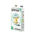Pokémon TCG: Scarlet & Violet - Terastal Gathering Leafeon Coin Set - Simplified Chinese