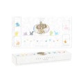 Pokémon TCG: Scarlet & Violet - Terastal Gathering Eevee & Friends Exclusive Gift Box - Simplified Chinese