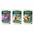 Disney Lorcana TCG– Archazia”s Island: Illumineer”s Trove (8 Boosters)