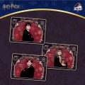 Letogoods: Harry Potter Collectible Cards - Sorcerer’s Stone Series Box (18 Packs)