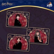 Letogoods: Harry Potter Collectible Cards - Sorcerer’s Stone Series Box (18 Packs)