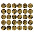 Pokémon TCG: Stellar Crystal Coin Blister Pack - Simplified Chinese
