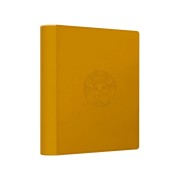 Pokémon TCG: Scarlet & Violet - Terastal Gathering Eevee Binder Gift Box - Simplified Chinese