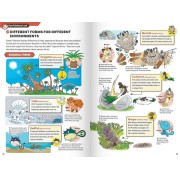 Συλλεκτικό Βιβλίο Pokémon - Pokécology: An Illustrated Guide to Pokémon Ecology (English)
