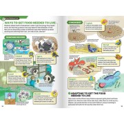 Συλλεκτικό Βιβλίο Pokémon - Pokécology: An Illustrated Guide to Pokémon Ecology (English)
