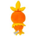 Λούτρινο Pokémon Plushie Figure - Torchic 20 cm