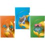 Ultra Pro Tournament Folio - Ντοσιέ Φύλλων Α4 - Pokemon: Blastoise, Charizard, Venusaur 3 - Pack