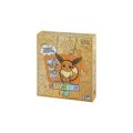 Pokemon Simplified Chinese Eeveelutions Card Display Set 