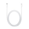 Καλώδιο Φόρτισης Apple A2561 από USB-C σε Lightning - 1m