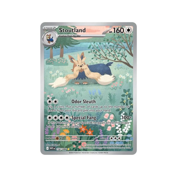 Stoutland (White Flare 156/86) (Illustration Rare) English - Near Mint