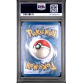 Dewgong-Holo - Skyridge - English 2003 - #H6 - PSA NM-MT 8 - Pokemon Graded Card