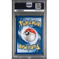 Tyranitar-Holo - Expedition - English 2002 - #29 - PSA NM-MT 8 - Pokemon Graded Card