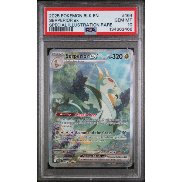 Serperior EX - Black Bolt - English 2025 - #164 - PSA GEM MT 10 - Pokemon Graded Card